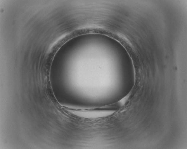 X0000074290872200609151914