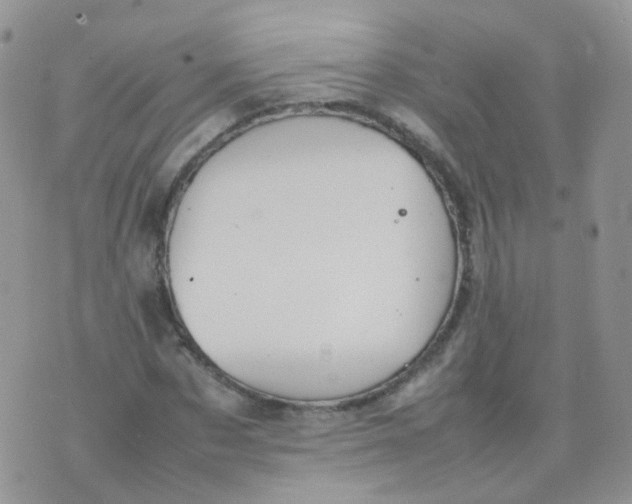 X0000074290873200609151914