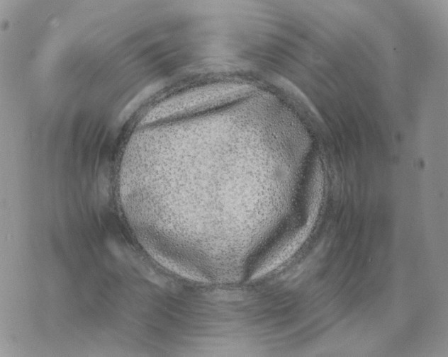 X0000074290874200609151914