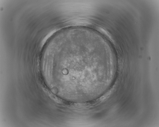 X0000074290875200609151914