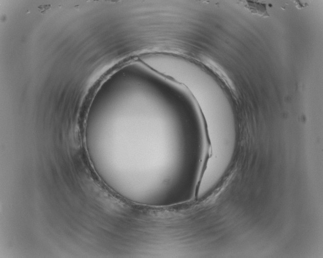 X0000074290876200609151914