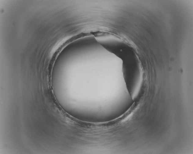 X0000074290877200609151914