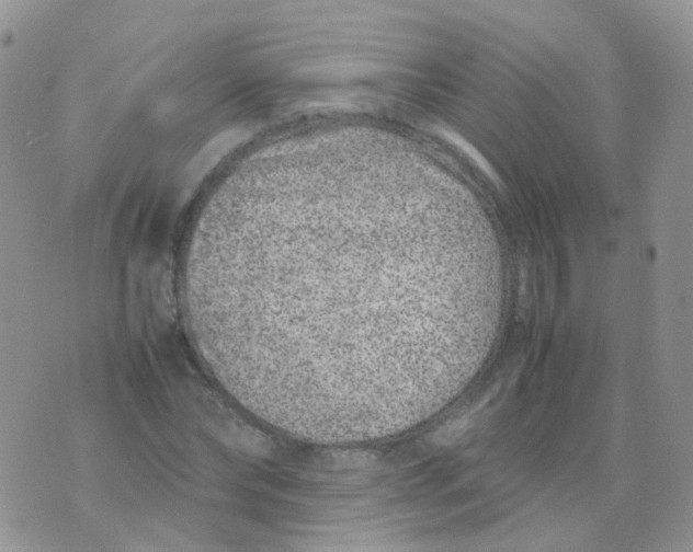 X0000074290878200609151914