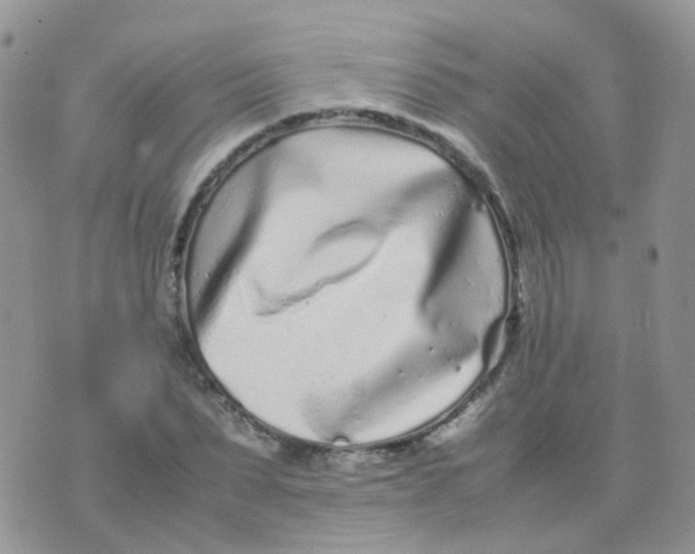 X0000074290879200609151914