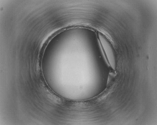 X0000074290880200609151914