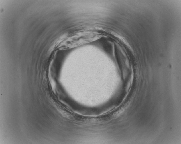 X0000074290881200609151914