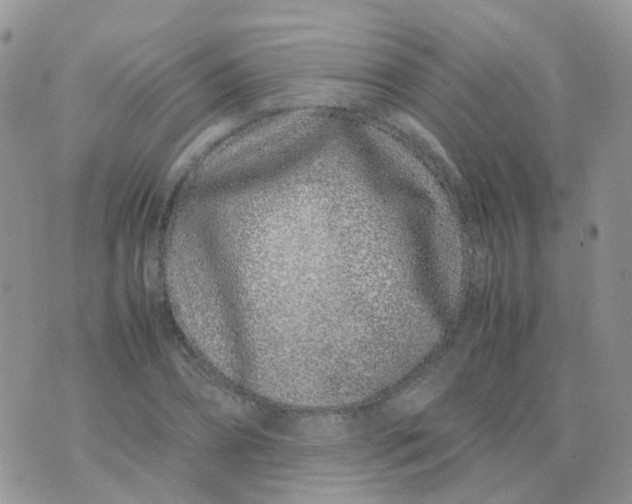 X0000074290882200609151914