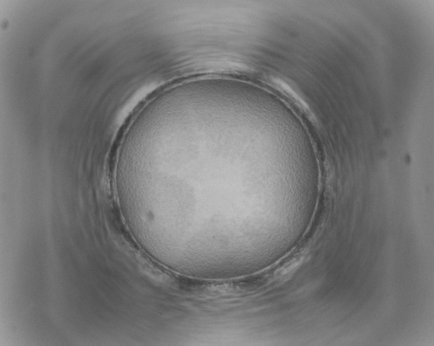 X0000074290883200609151914