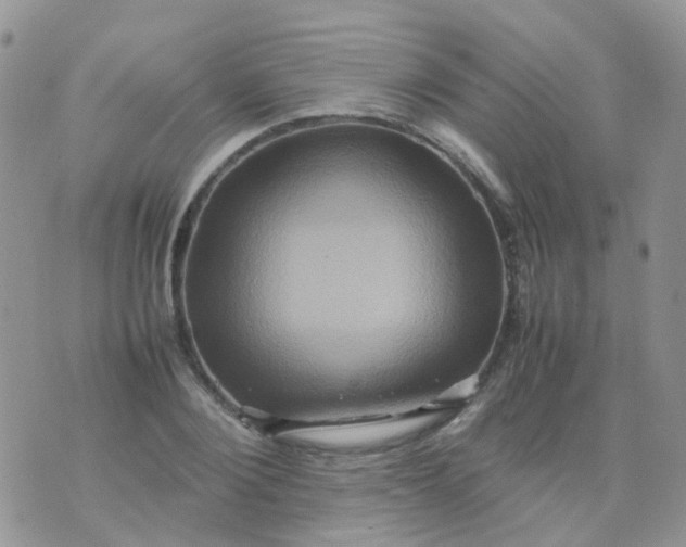 X0000074290884200609151914