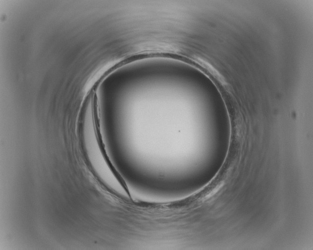 X0000074290885200609151914