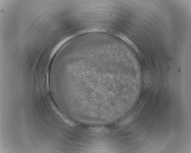 X0000074290886200609151914