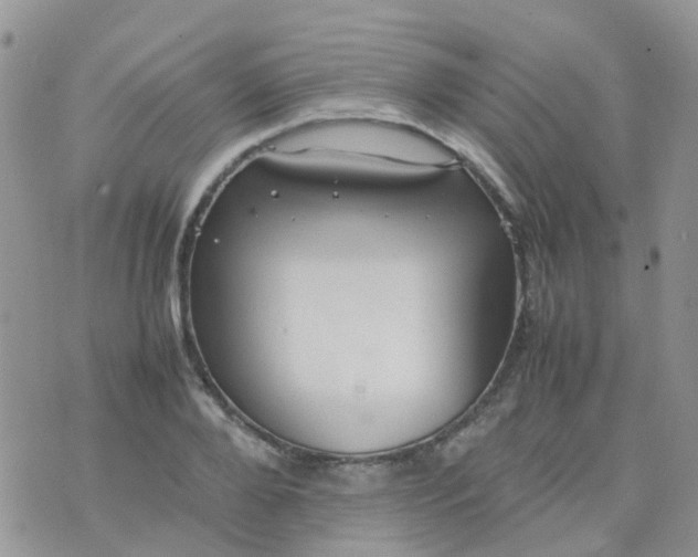 X0000074290888200609151914