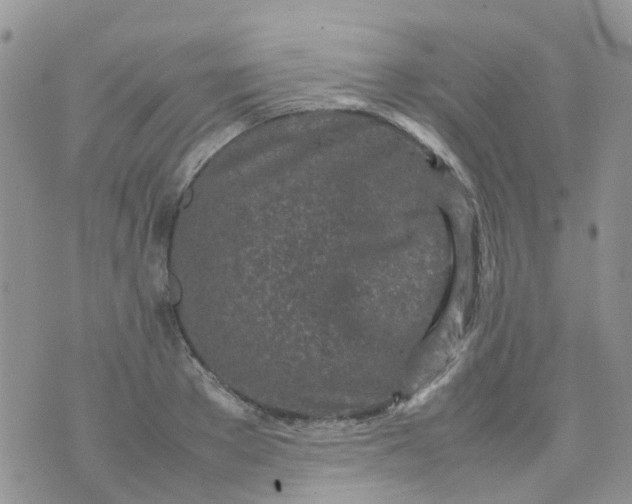 X0000074290889200609151914