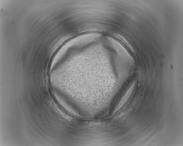 X0000074290890200609151914