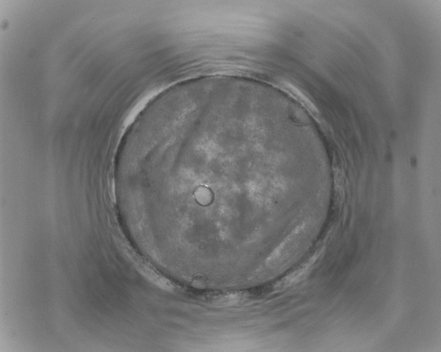 X0000074290891200609151914