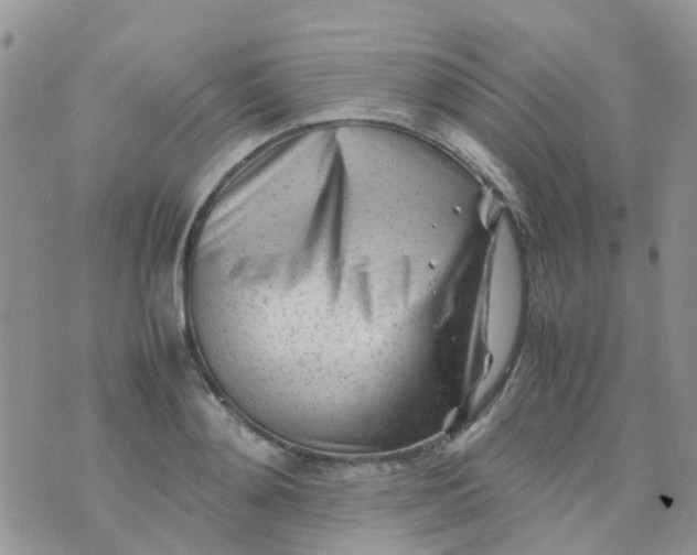 X0000074290892200609151914