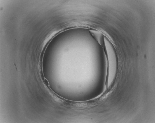 X0000074290893200609151914