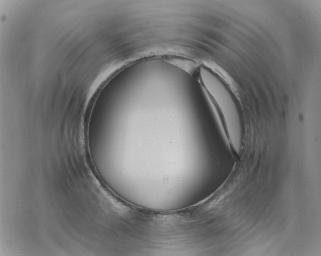 X0000074290894200609151914