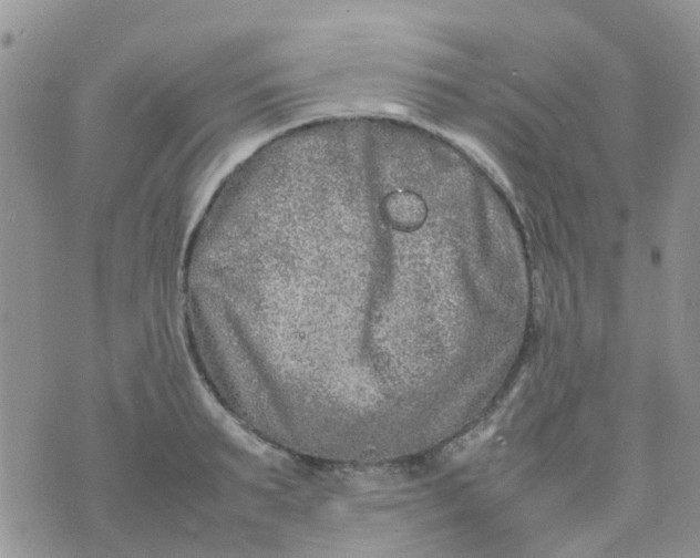 X0000074290895200609151914