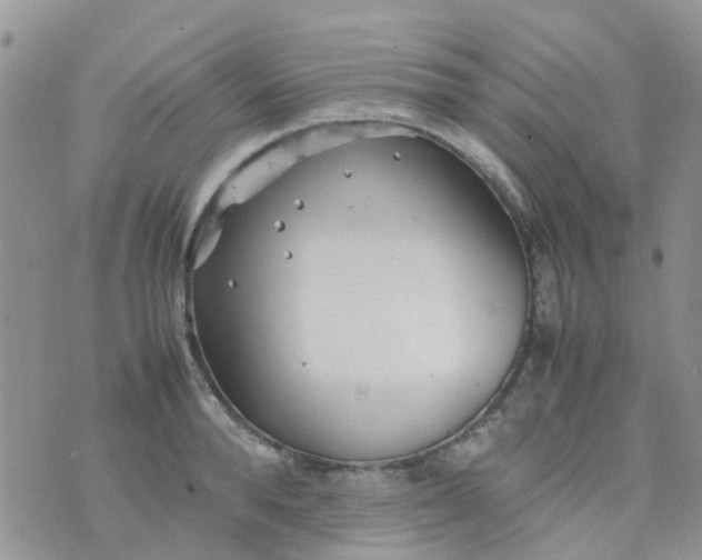 X0000074290896200609151914