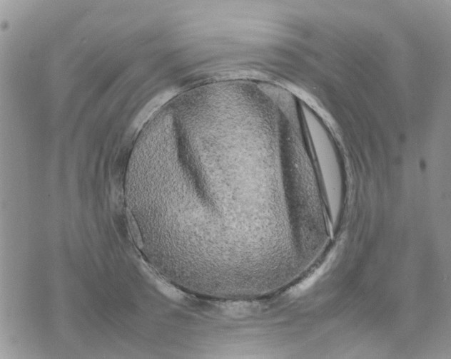 X0000074290897200609151914