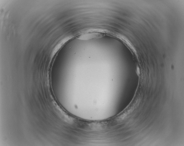 X0000074290898200609151914