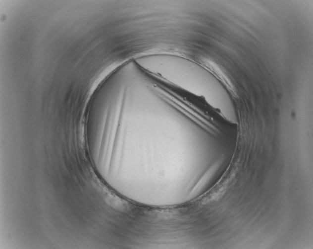 X0000074290900200609151914