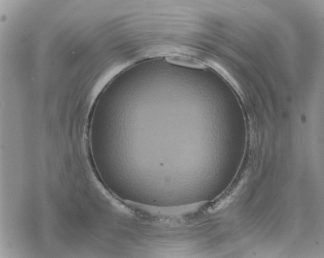 X0000074290901200609151914