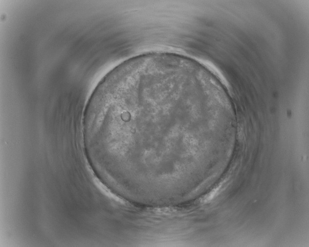 X0000074290903200609151914