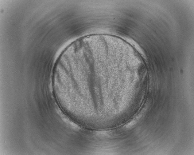 X0000074290904200609151914