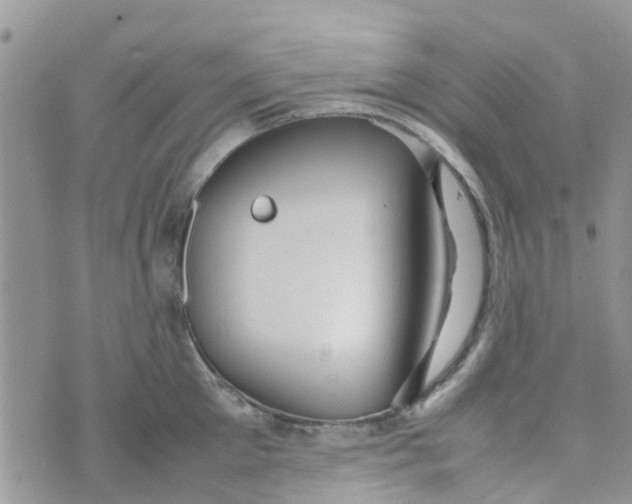 X0000074290905200609151914