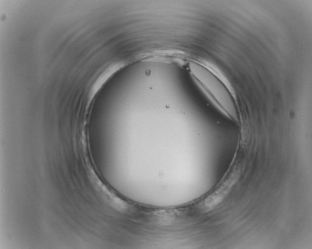 X0000074290906200609151914