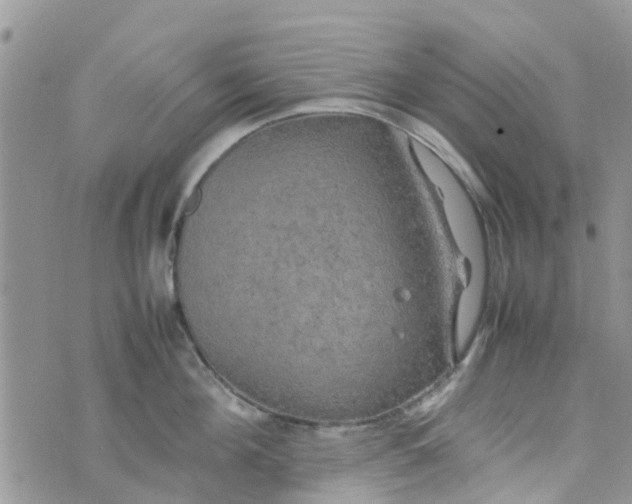 X0000074290908200609151914