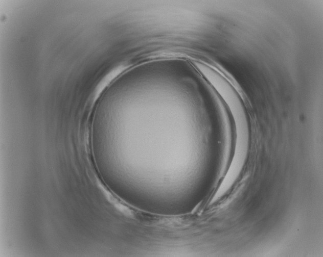 X0000074290909200609151914