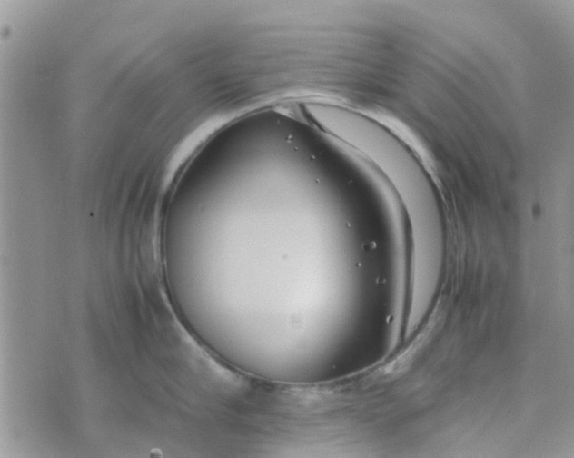 X0000074290910200609151914