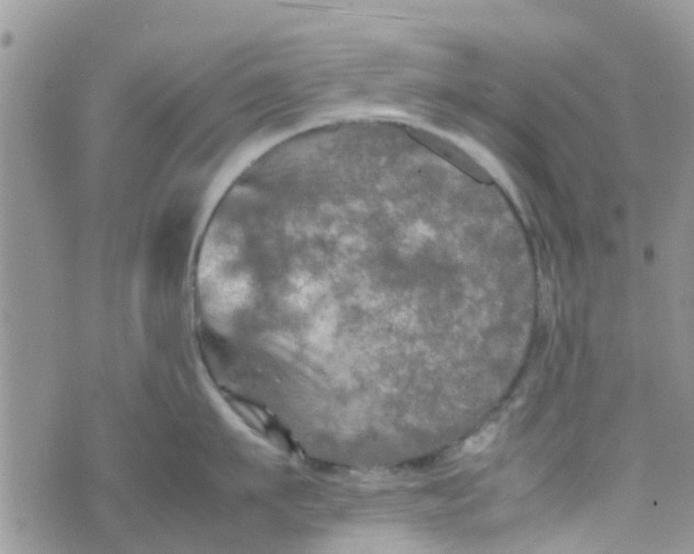 X0000074290911200609151913