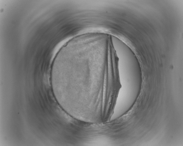 X0000074290912200609151913