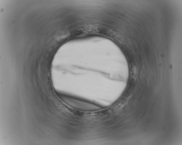 X0000074290913200609151913