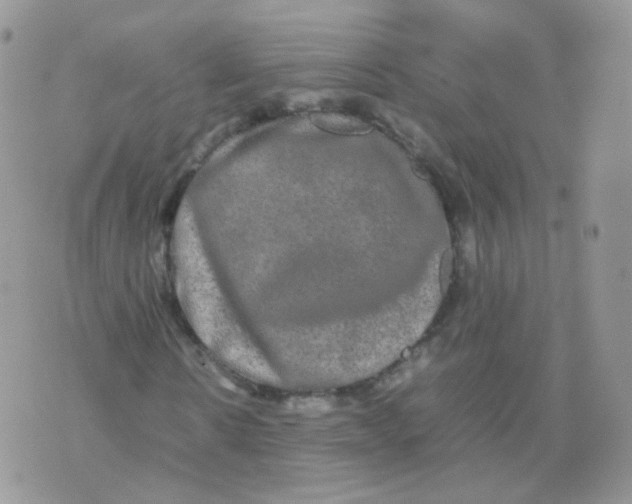 X0000074290914200609151913