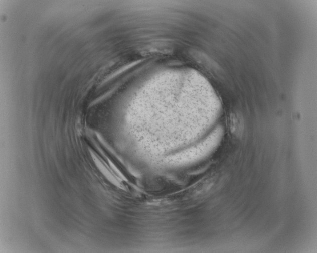 X0000074290915200609151913