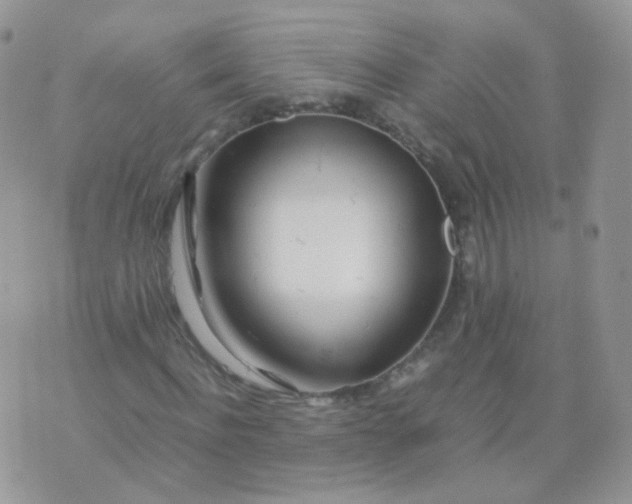 X0000074290916200609151913