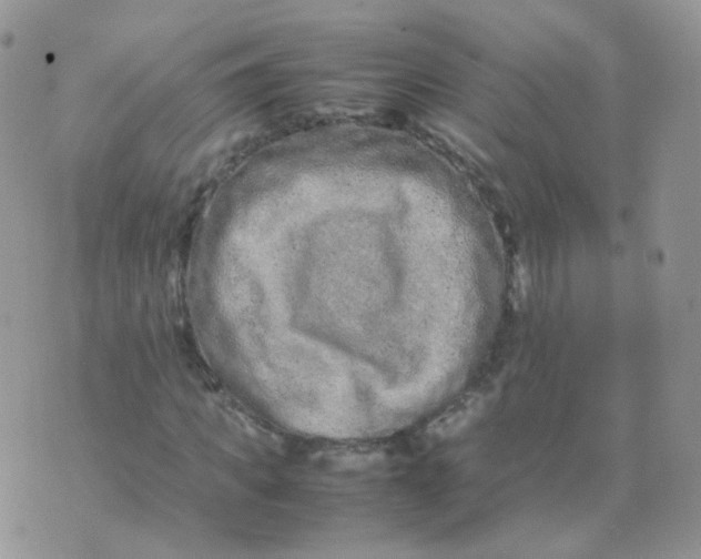 X0000074290917200609151913