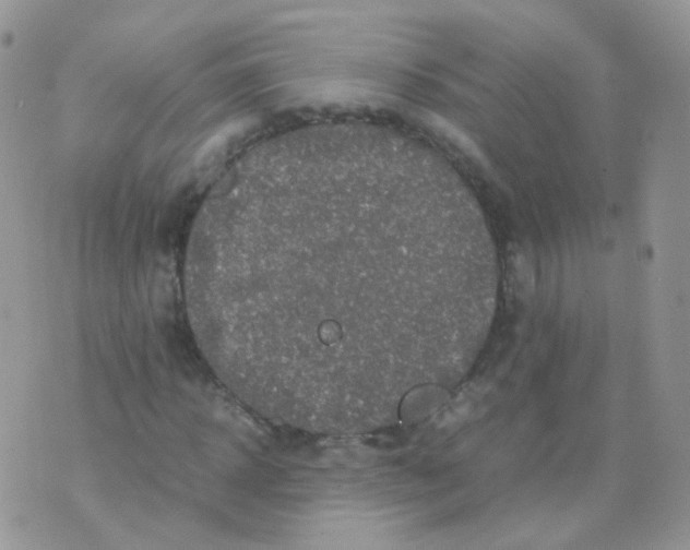 X0000074290918200609151913