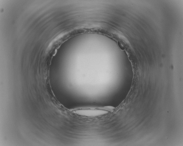 X0000074290920200609151913