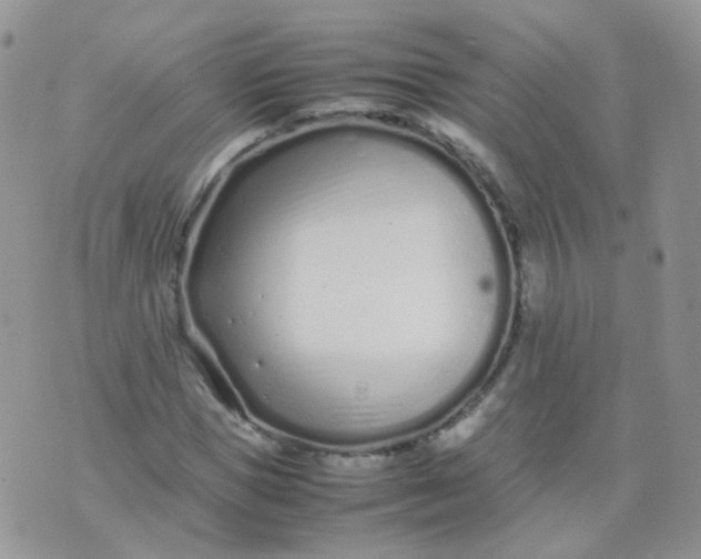 X0000074290921200609151913