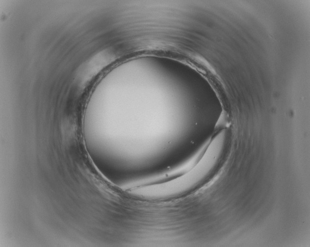 X0000074290922200609151913