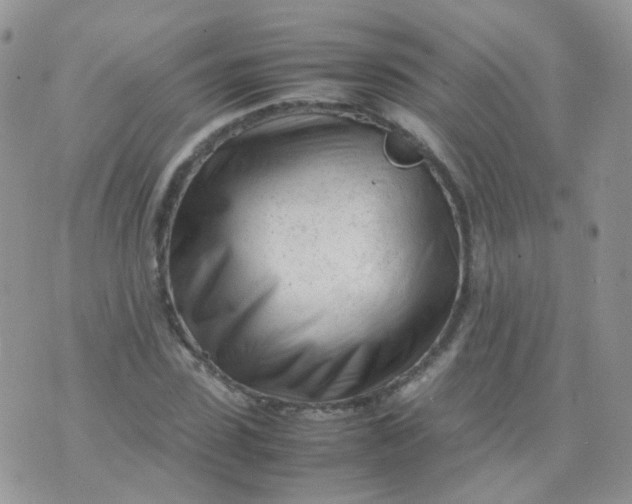 X0000074290923200609151913