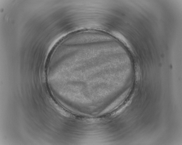 X0000074290924200609151913