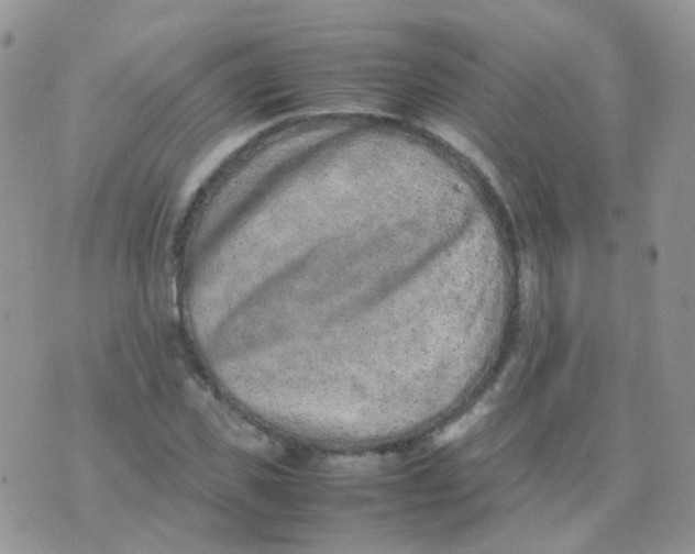 X0000074290925200609151913