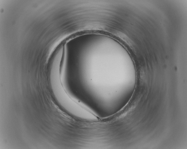 X0000074290926200609151913